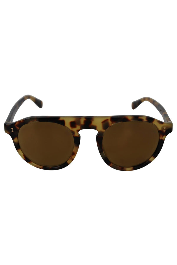 Dolce & Gabbana Brown Tortoise Oval Full Rim Sunglasses