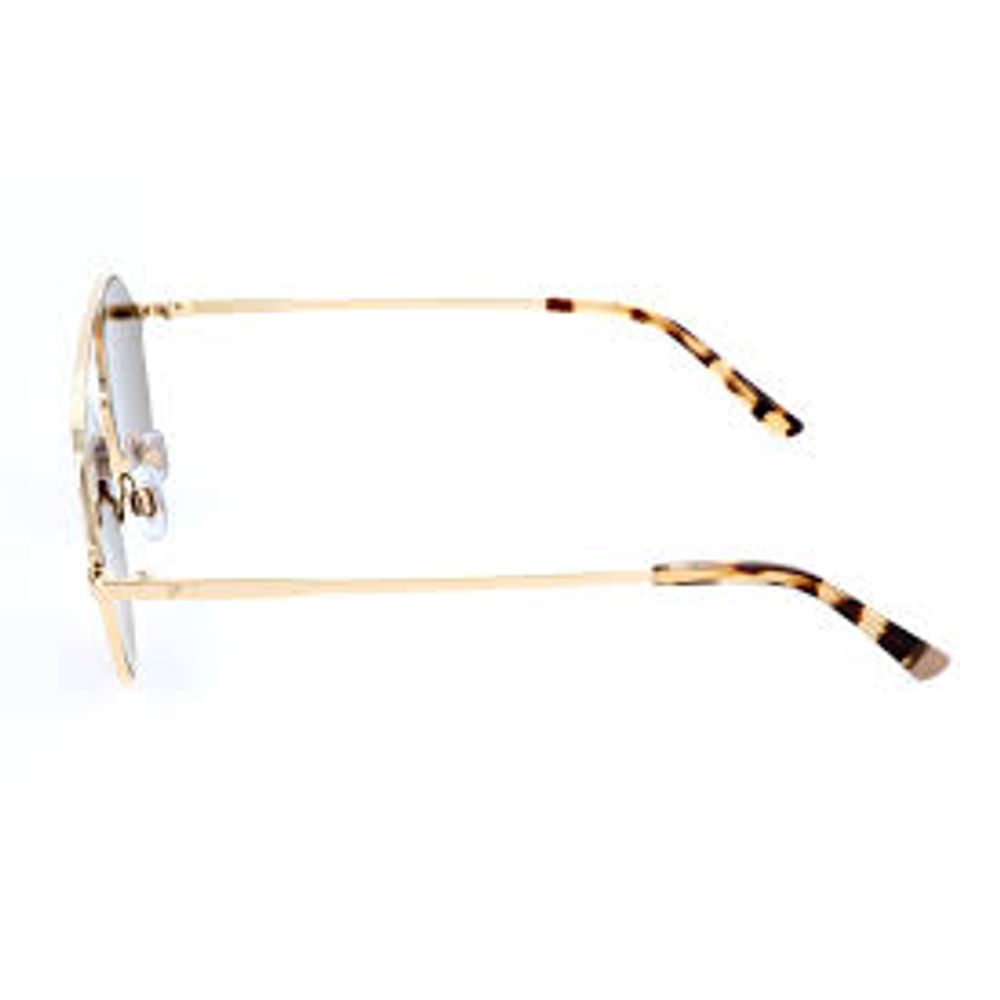 WEB EYEWEAR Gold Metal Sunglasses