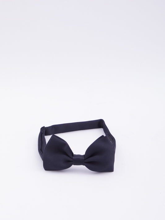 Blue bow tie
