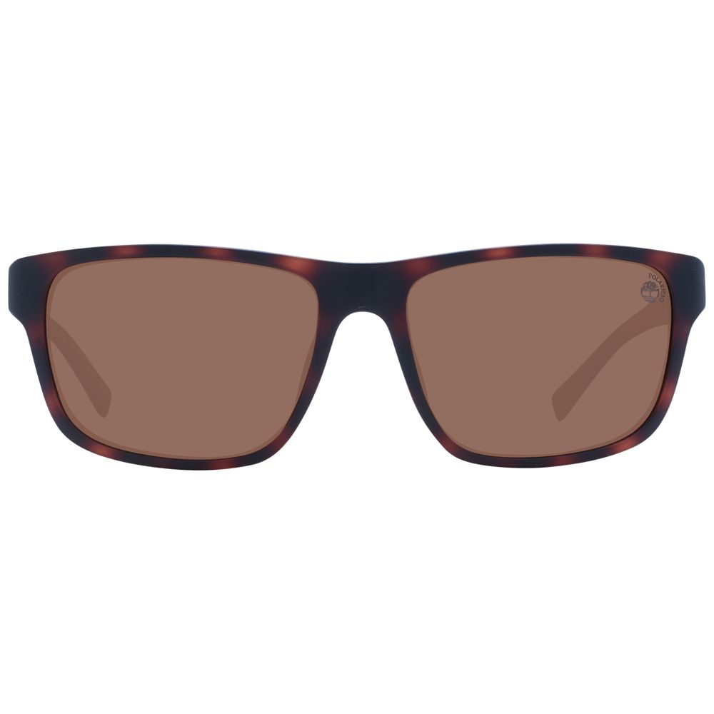 Timberland Brown Plastic Sunglasses - Qutton