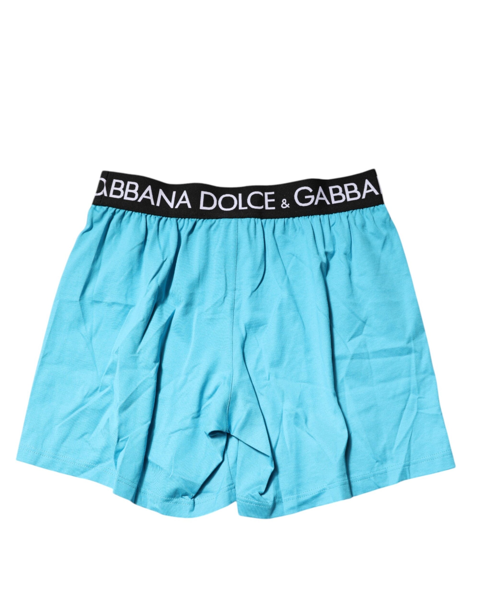 Dolce & Gabbana Blue Logo Waist Regular Boxer Shorts Underwear