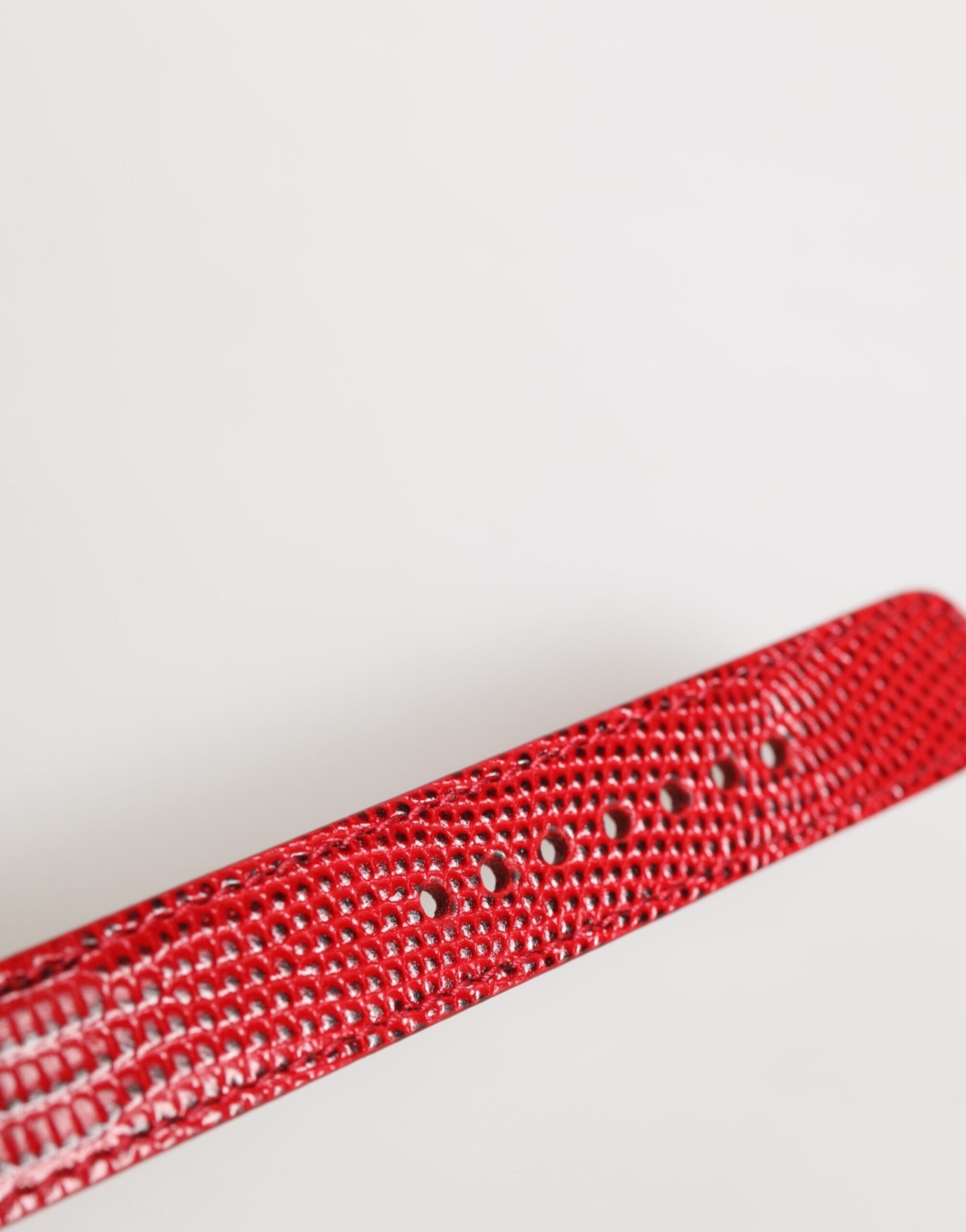 Dolce & Gabbana Red Exotic Leather Gold Tone Metal Buckle Women Armband