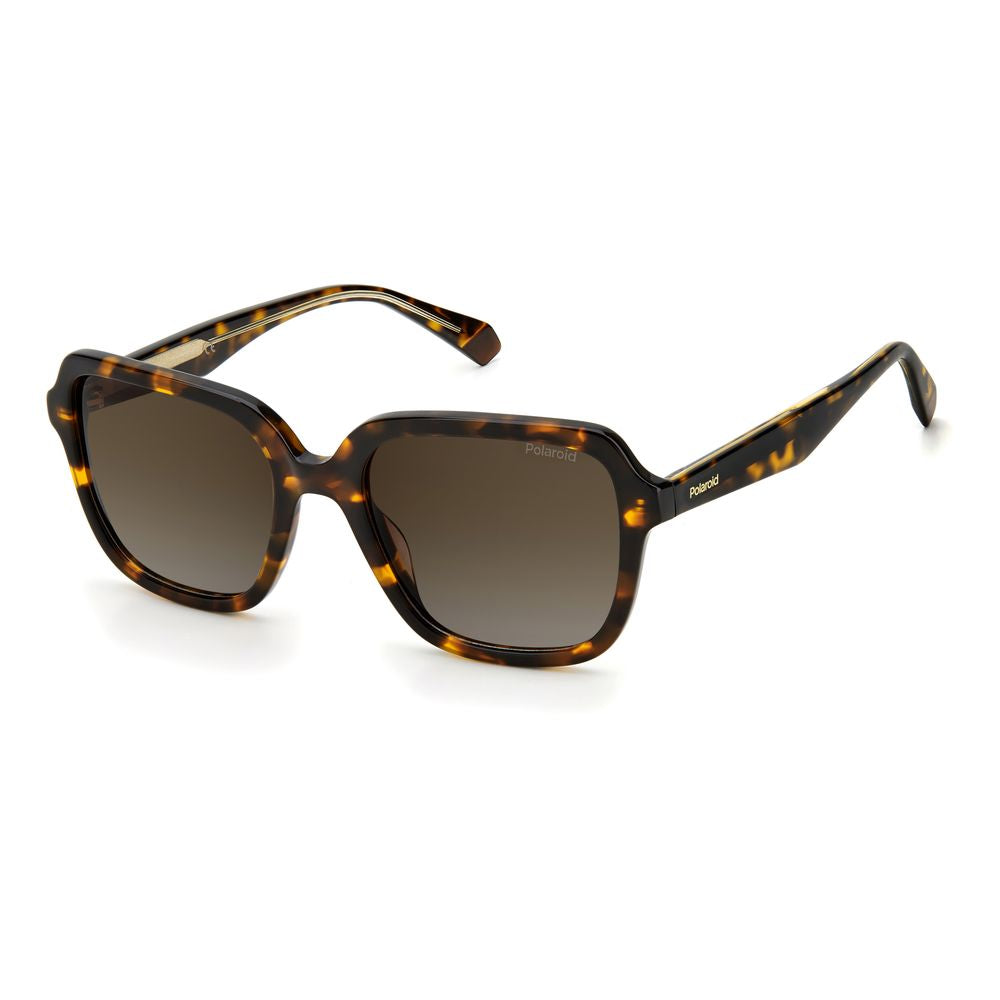 Polaroid Brown Acetate Sunglasses