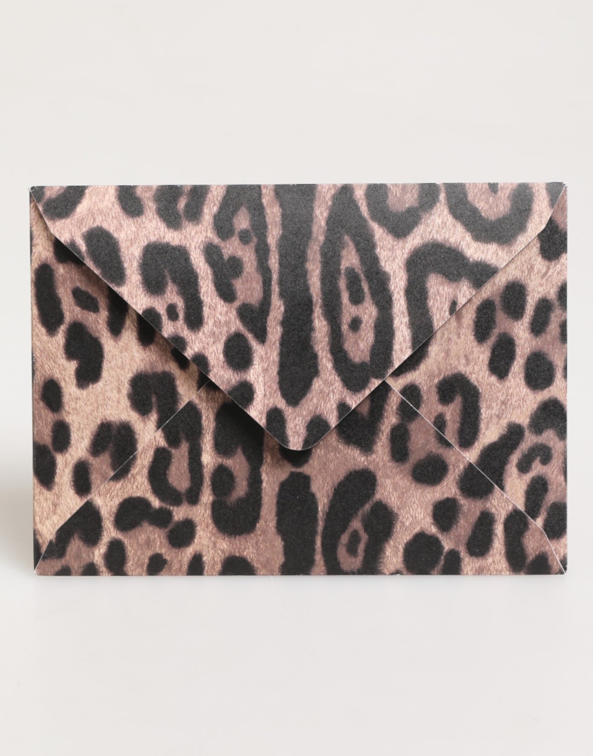 Dolce & Gabbana Multicolor Leopard Print Envelope Paper Post Card Holder