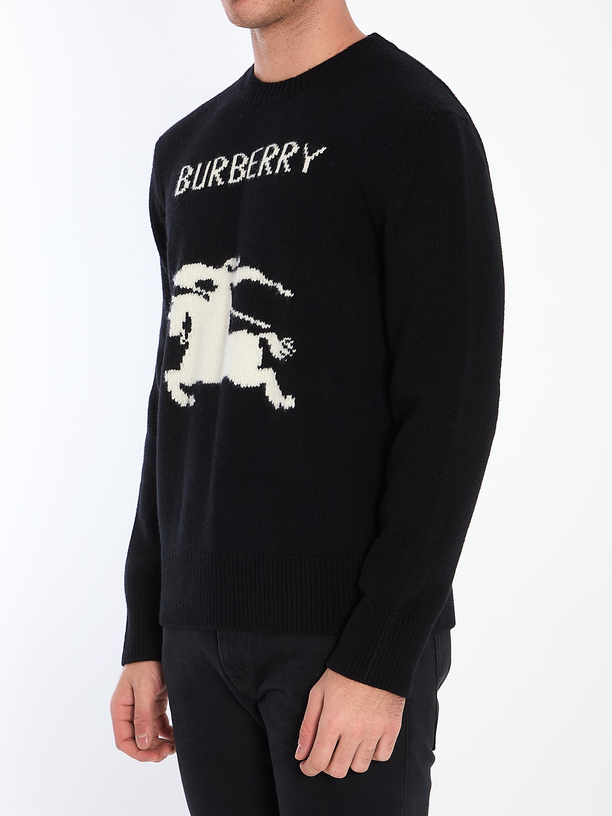Sweater with logo